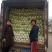 河北定州大量供应北京新三号大白菜