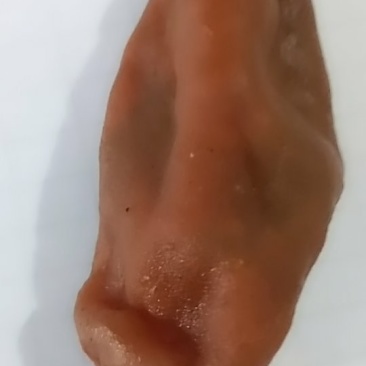 上等鸡宝。