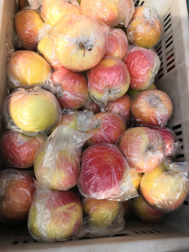 美国八号苹果