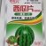 西瓜片哈哈片氧化硼肥片蚜虱片抗蚜虫蓟马一棵一片