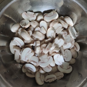 双孢菇草菇鲜品盐水大量有货