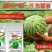 西瓜片哈哈片氧化硼肥片蚜虱片抗蚜虫蓟马一棵一片