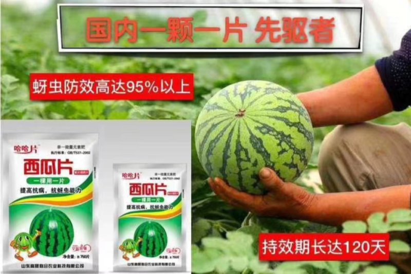 西瓜片哈哈片氧化硼肥片蚜虱片抗蚜虫蓟马一棵一片