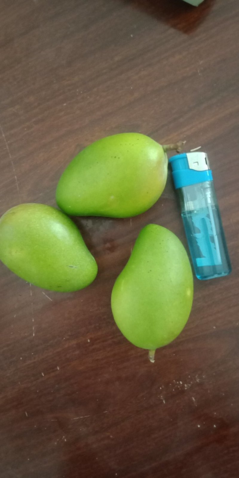 台农芒1号，广西百色市田阳产地值发，欢迎全国各地前来选购