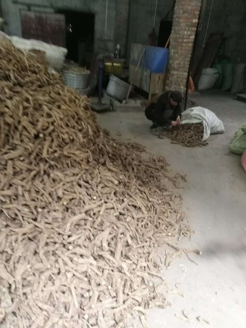 木香片
