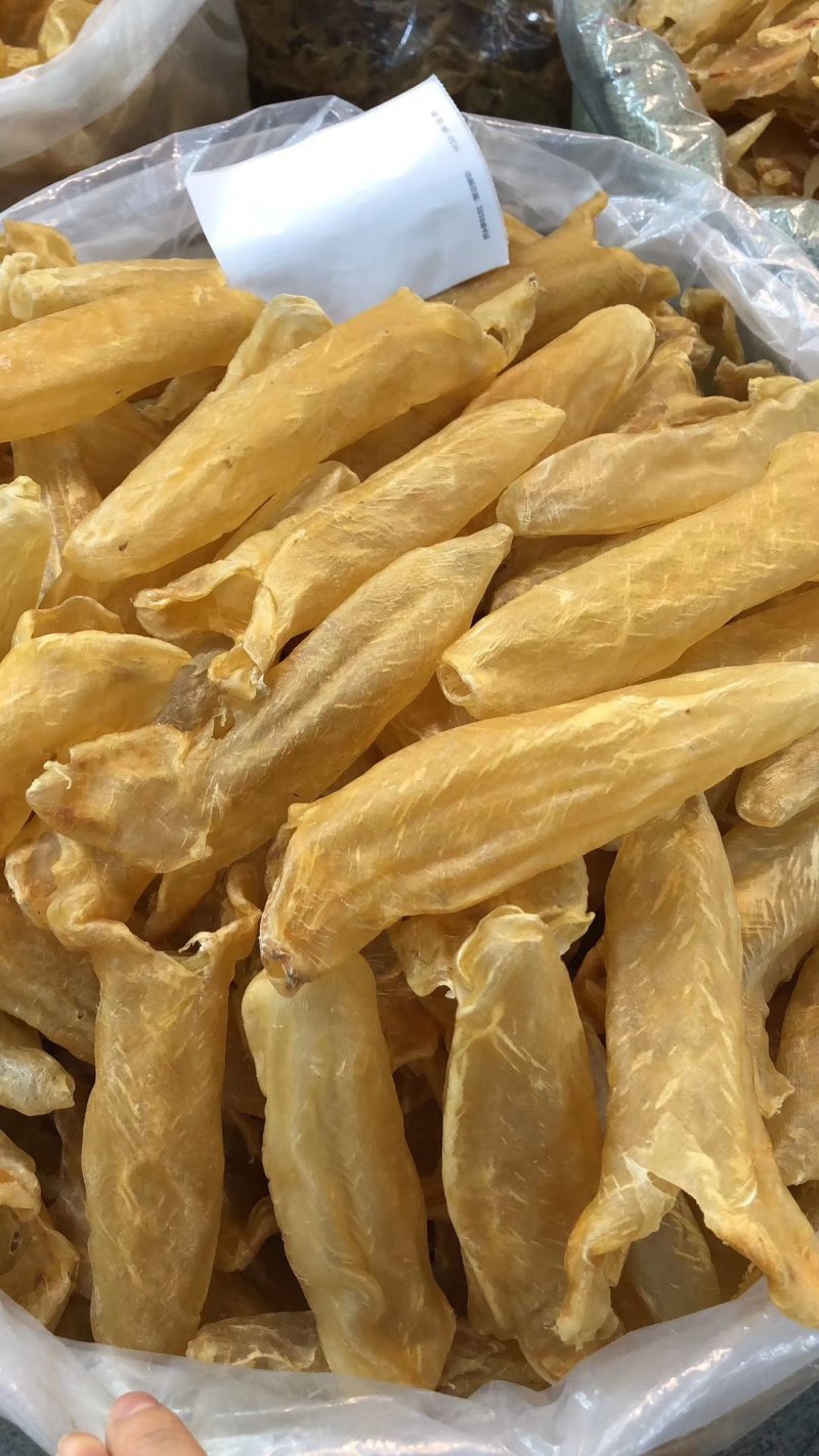 各种花胶都是一手货源