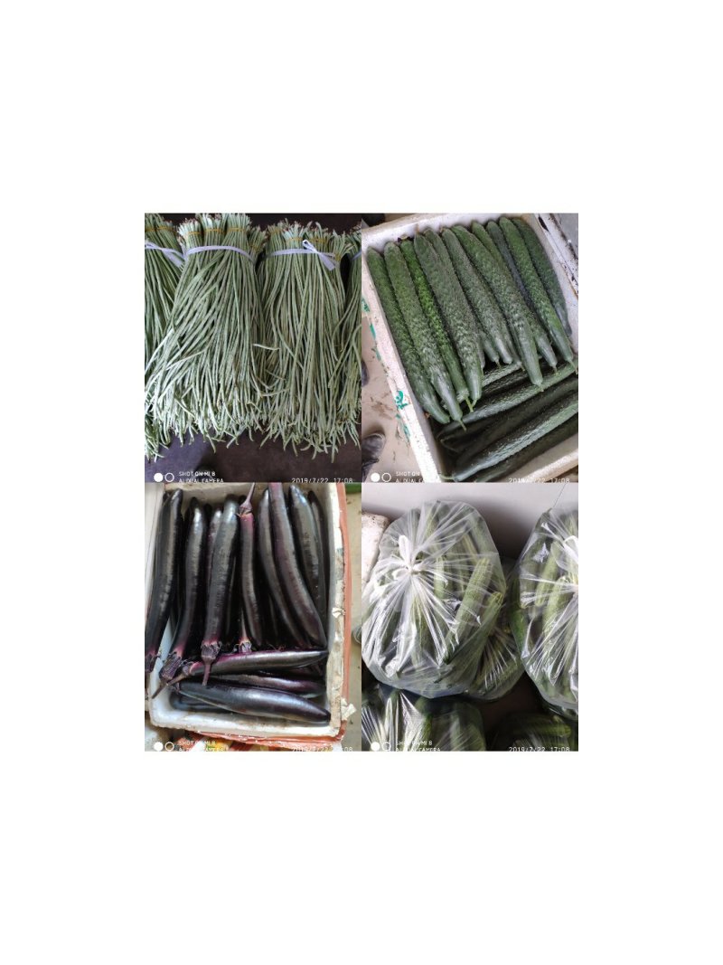 各种蔬菜大量上市量大质优价格优惠全国直发支持视频看货