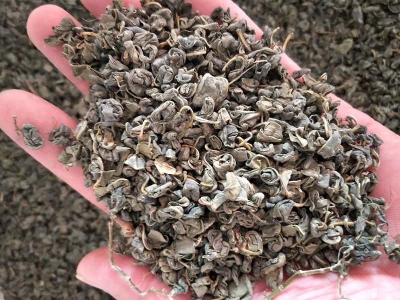 罗布麻茶批发各种规格中药材