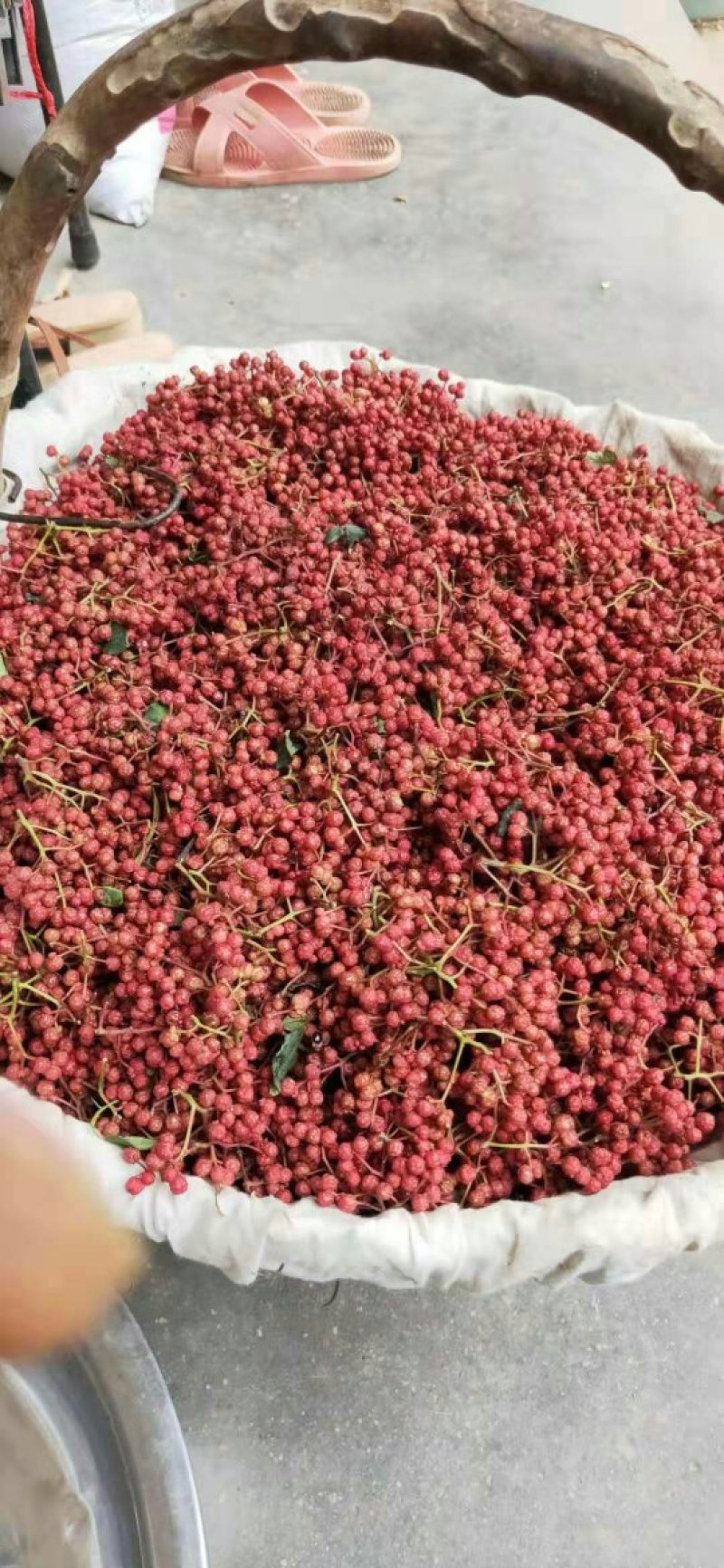 大红袍花椒特级干六月伏椒，，，，，，