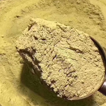 铁皮石斛粉