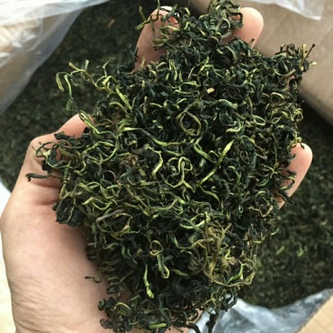 蒲公英