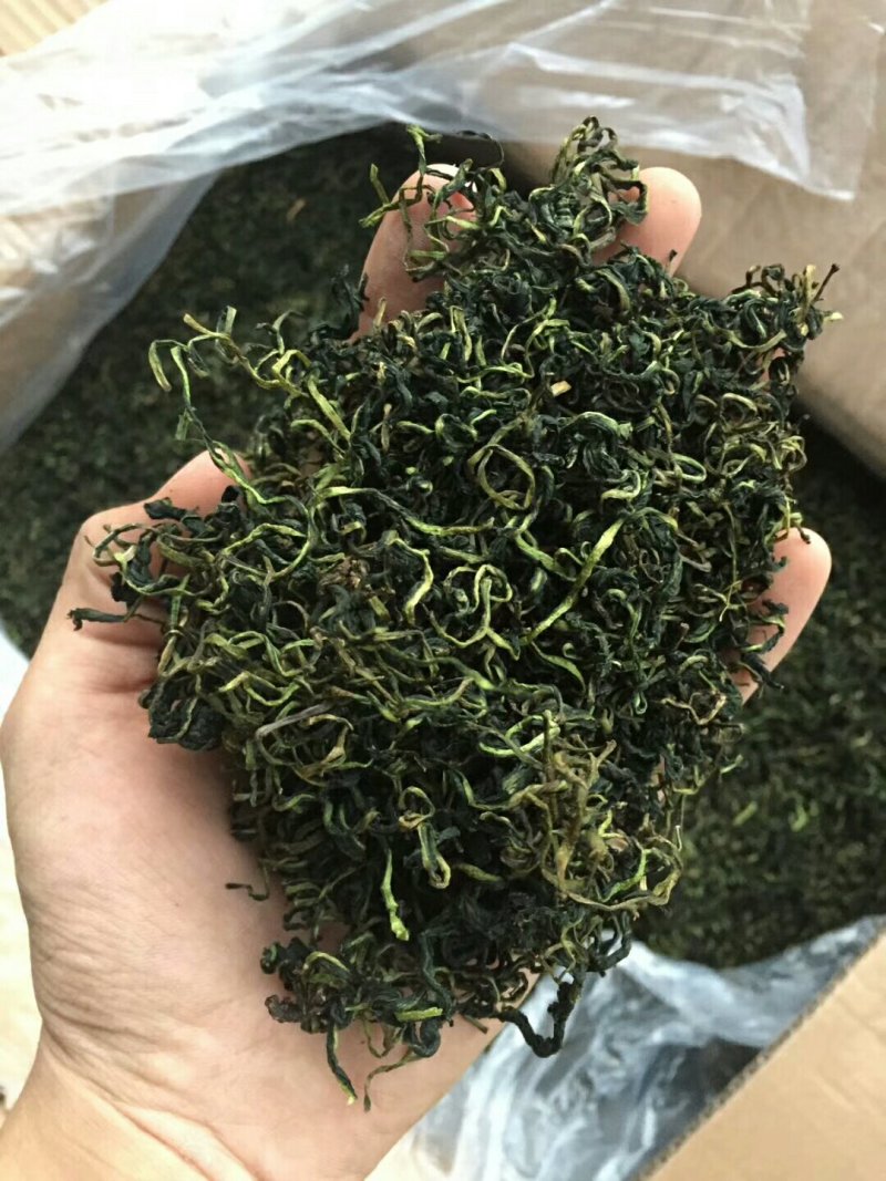 蒲公英