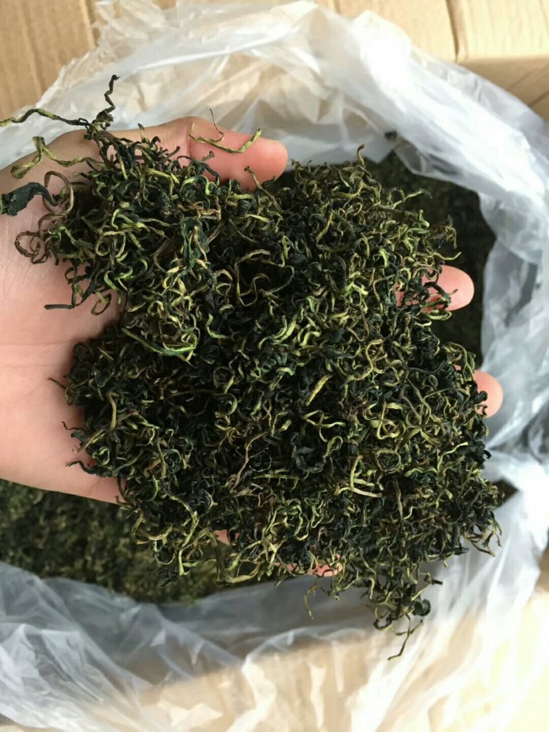 蒲公英