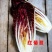 软化菊苣种子种籽菜/根四季家庭盆栽苗阳台庭院食用红苣菊