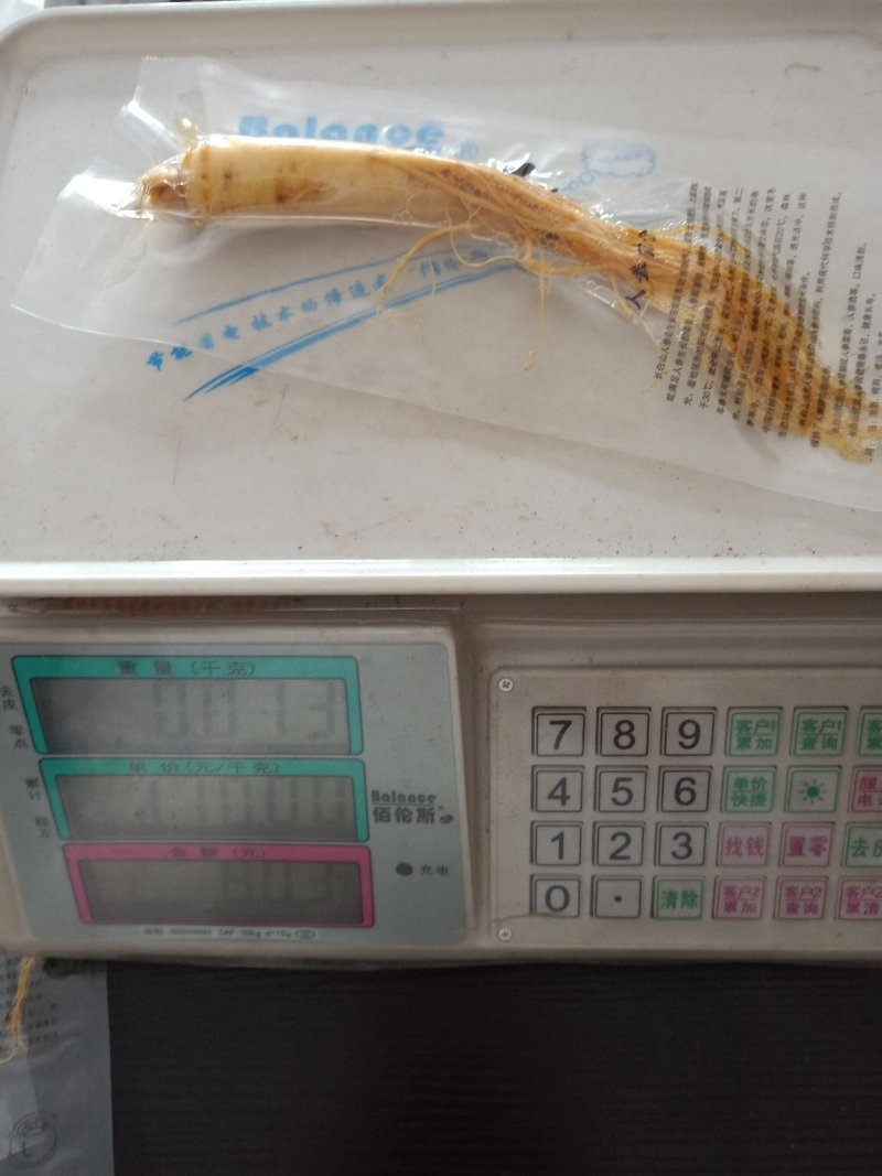 长白山保鲜人参50-100-150-200克各种规格