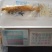 长白山保鲜人参50-100-150-200克各种规格