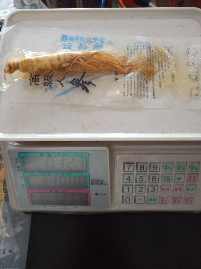 长白山保鲜人参50-100-150-200克各种规格