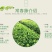 常春藤四季常青庭院绿化植物绿化苗，苗圃大量出售