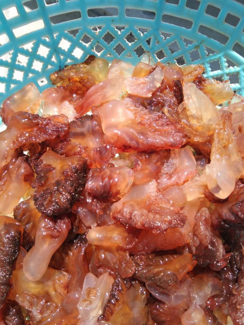 海蜇头，海蜇皮，海蜇批发海蜇批发酒店**