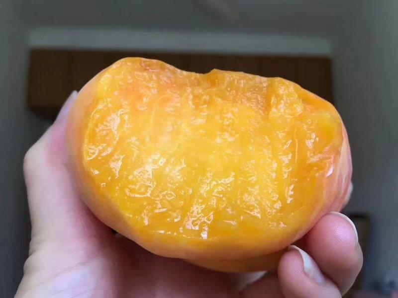 黄桃黄金蟠桃4.5斤装黄桃黄油桃电商一件代发
