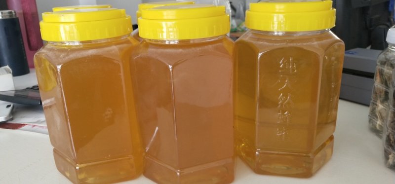 2019年新下山的椴树蜜