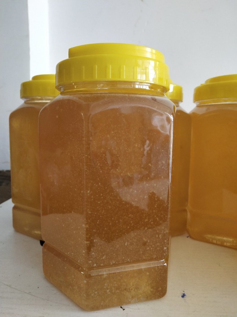 2019年新下山的椴树蜜