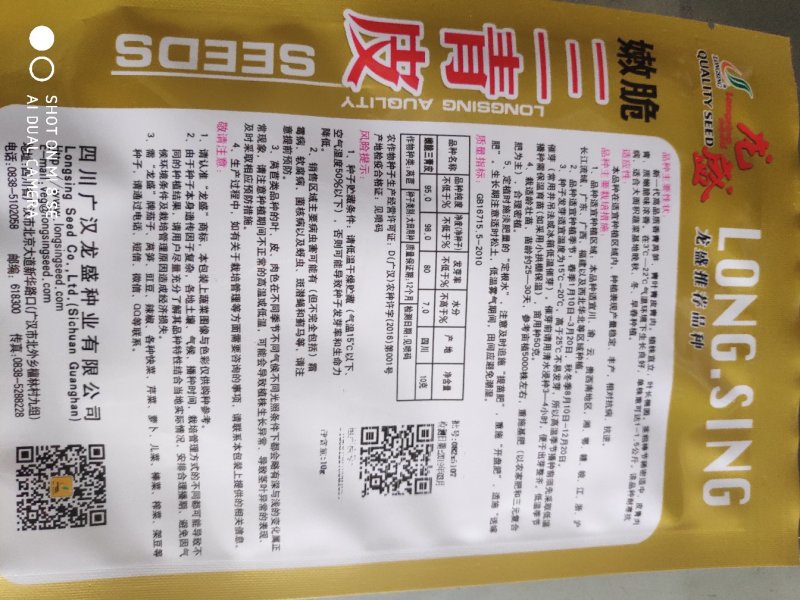 莴笋种子三青皮香莴笋种子