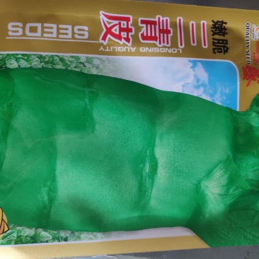 莴笋种子三青皮香莴笋种子