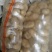 荷兰十五土豆个大皮薄3俩起步
