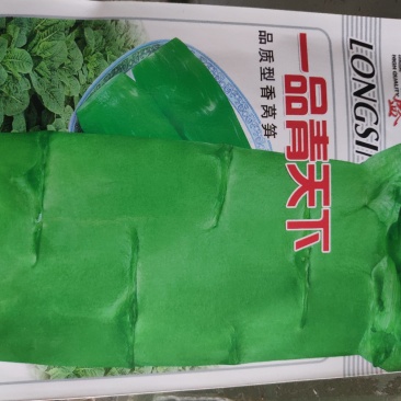 莴笋种子一品青天下香莴笋种子