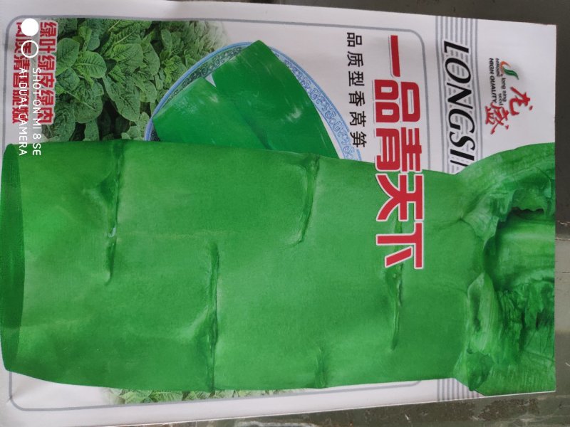 莴笋种子一品青天下香莴笋种子