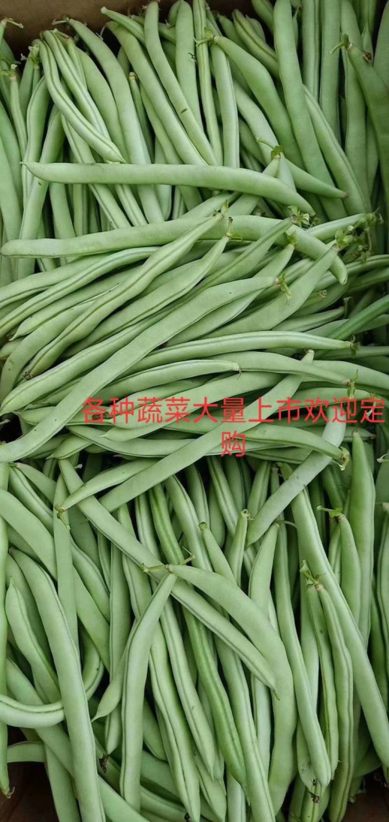 各种蔬菜大量上市