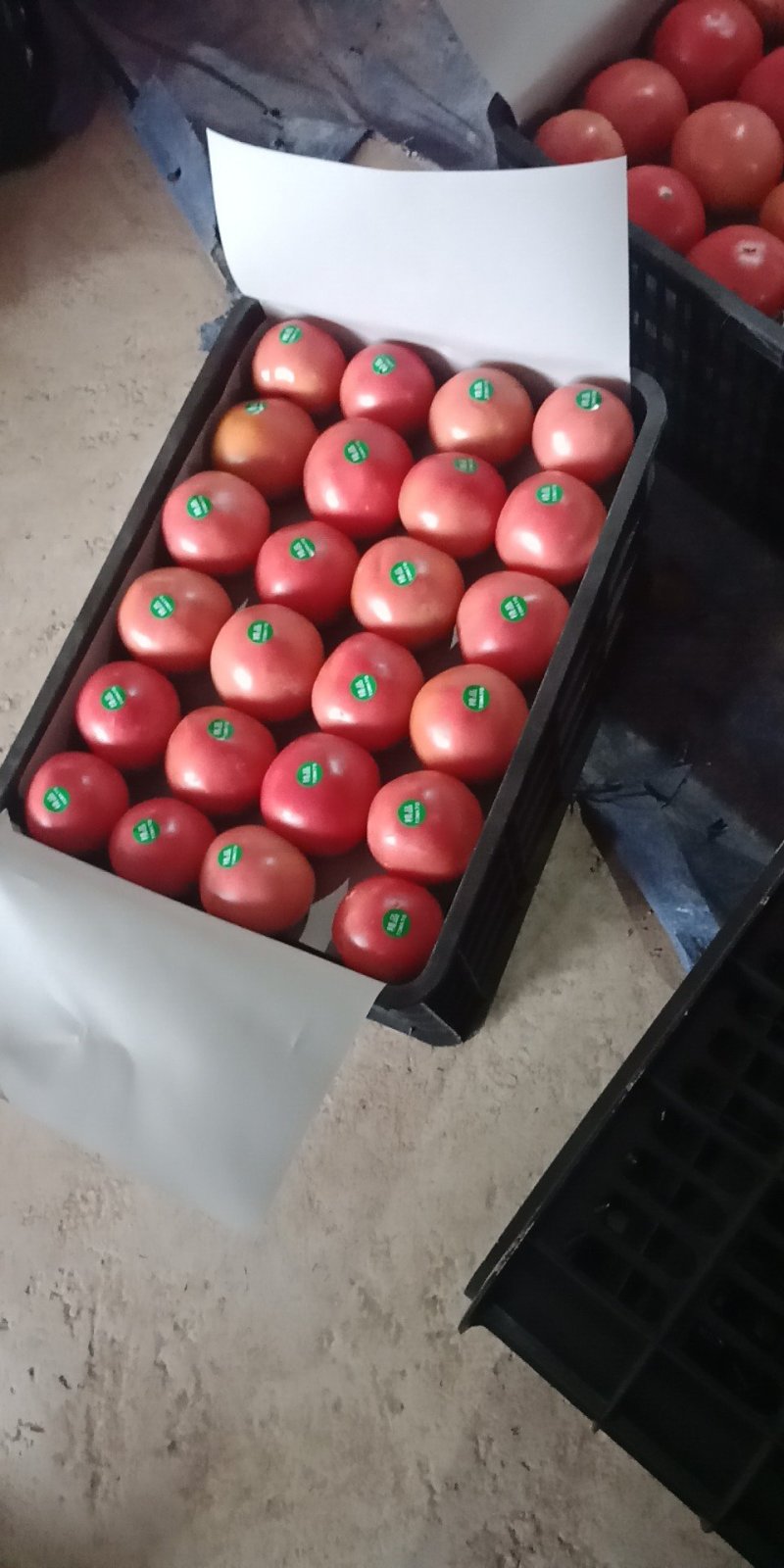 各种蔬菜大量上市