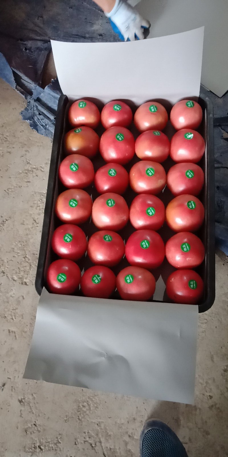 各种蔬菜大量上市