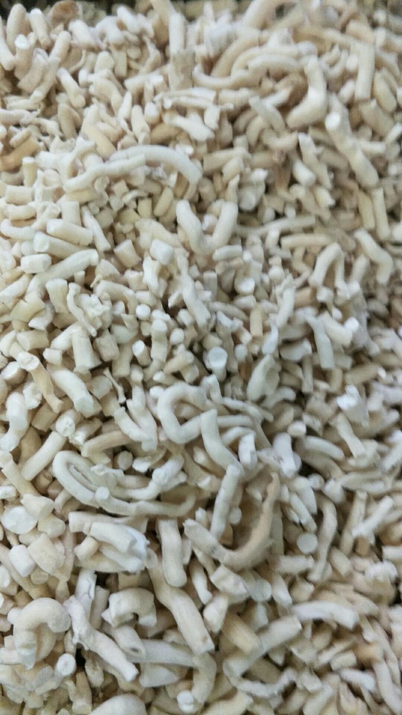 四川产地通草，货干，不渣子，便宜