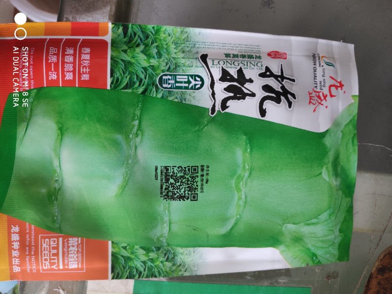 莴笋种子抗热尖叶香莴笋种子
