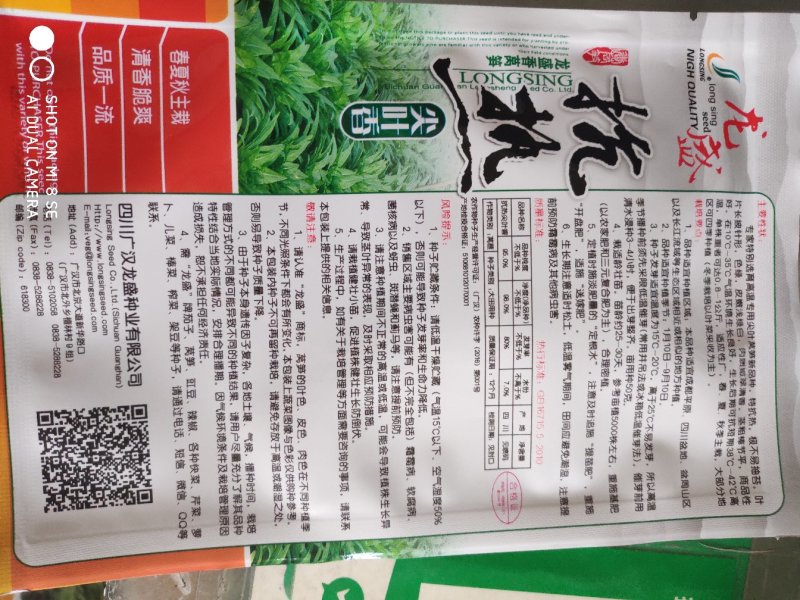 莴笋种子抗热尖叶香莴笋种子