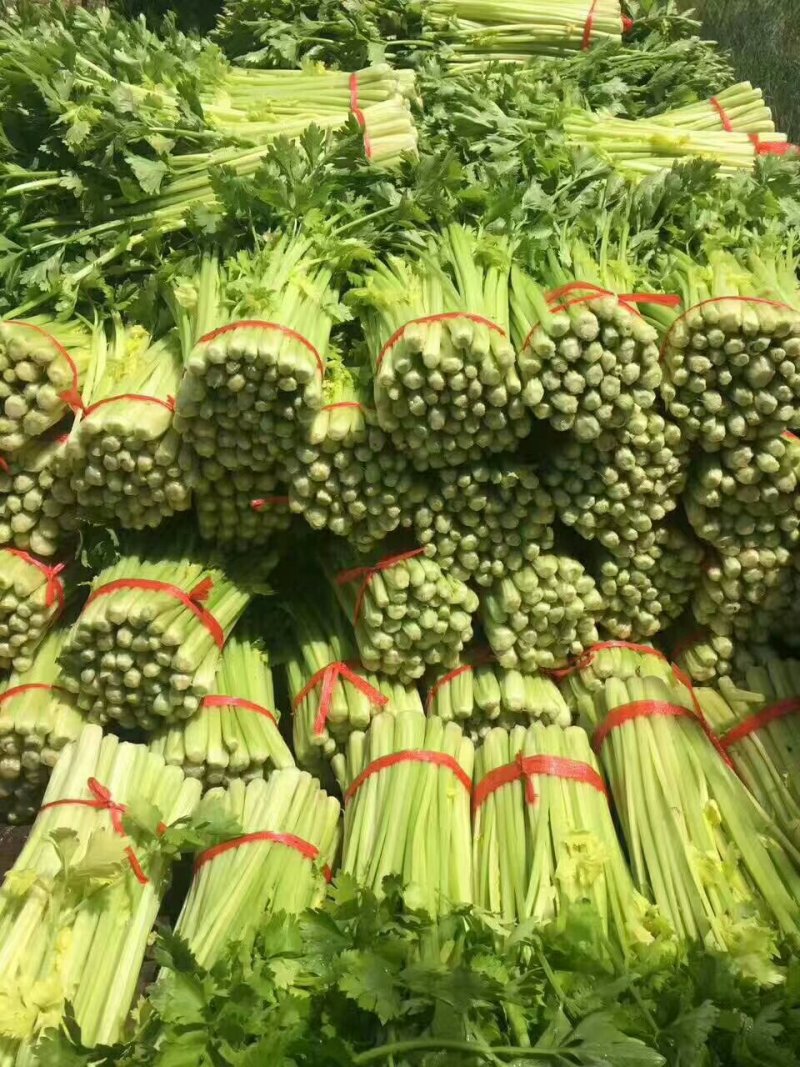 小西芹