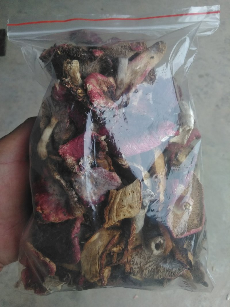 红蘑菇野生秦岭红菌子干货100g农家自采炖肉炒菜红菌子
