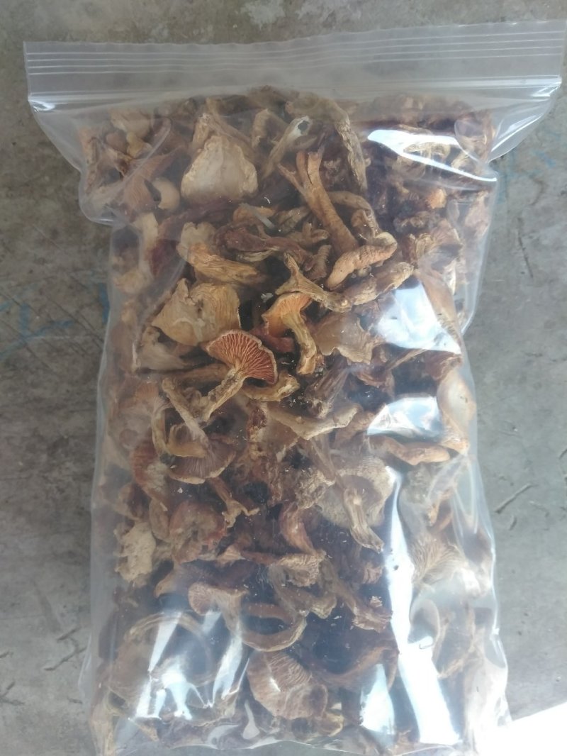 小黄蘑菇秦岭山珍野生自带香味黄蘑菇炖炒菜煲汤200g包邮