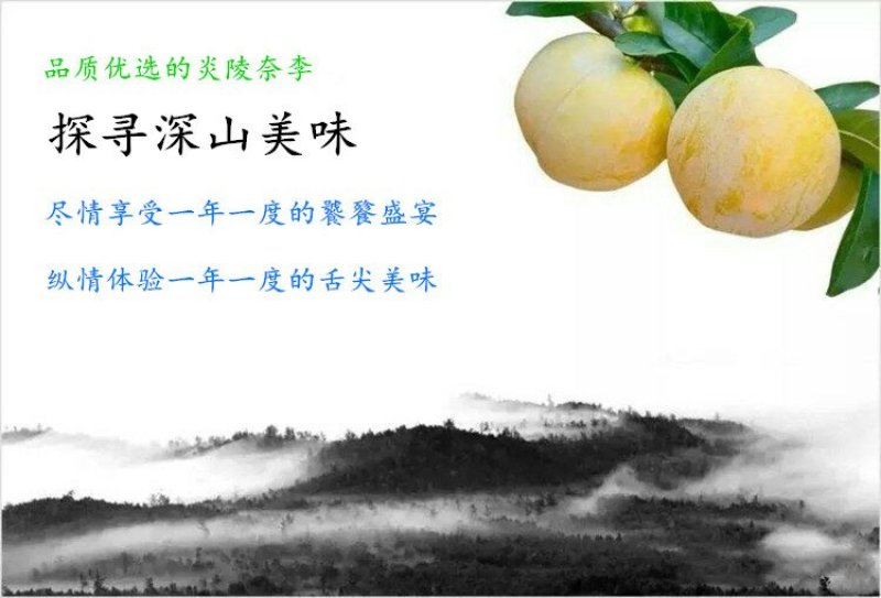 正宗炎陵柰李现摘现发黄金奈梨桃形脱核李子包邮