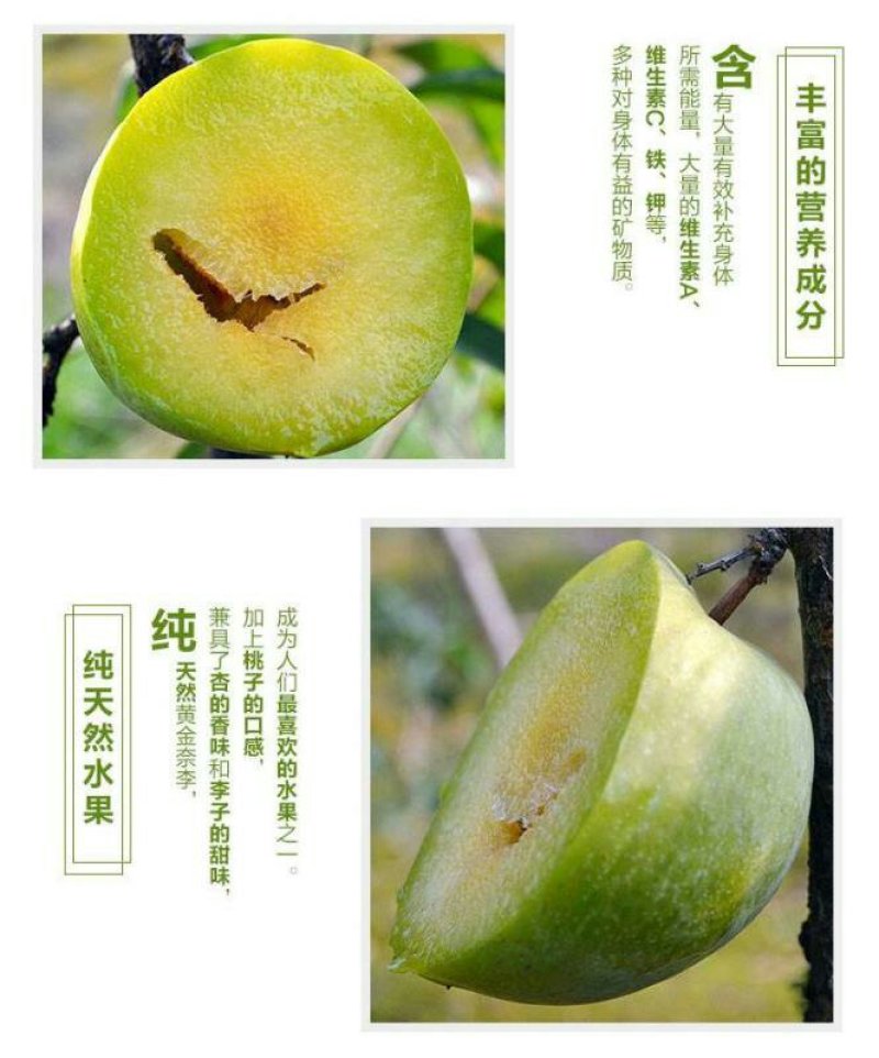 正宗炎陵柰李现摘现发黄金奈梨桃形脱核李子包邮