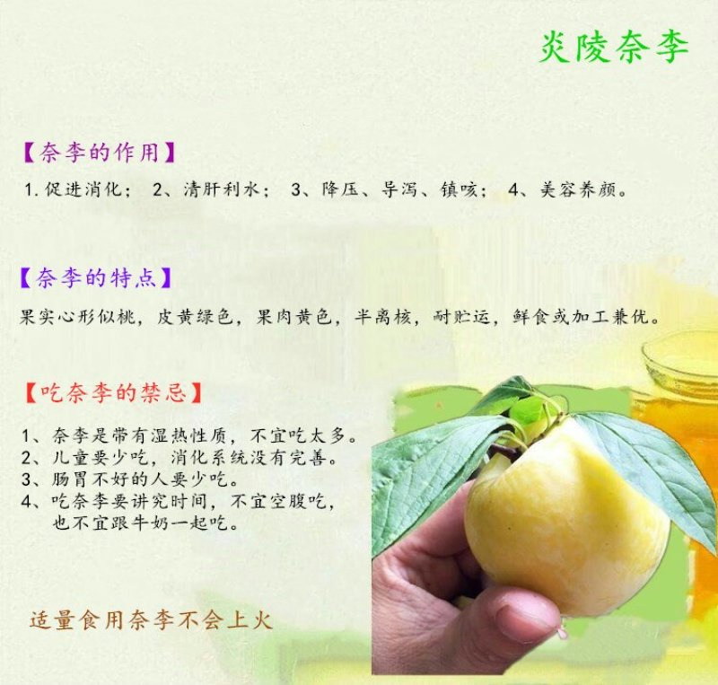 正宗炎陵柰李现摘现发黄金奈梨桃形脱核李子包邮