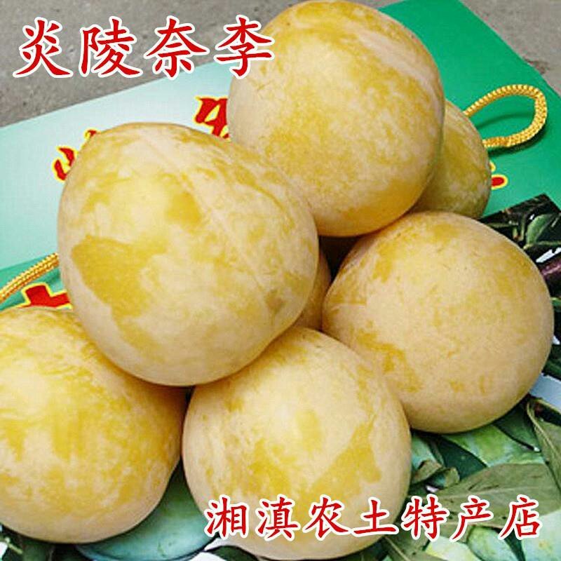 正宗炎陵柰李现摘现发黄金奈梨桃形脱核李子包邮