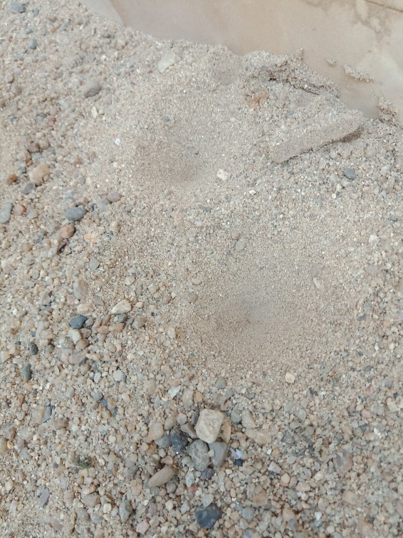 野生金沙牛，假一陪百，