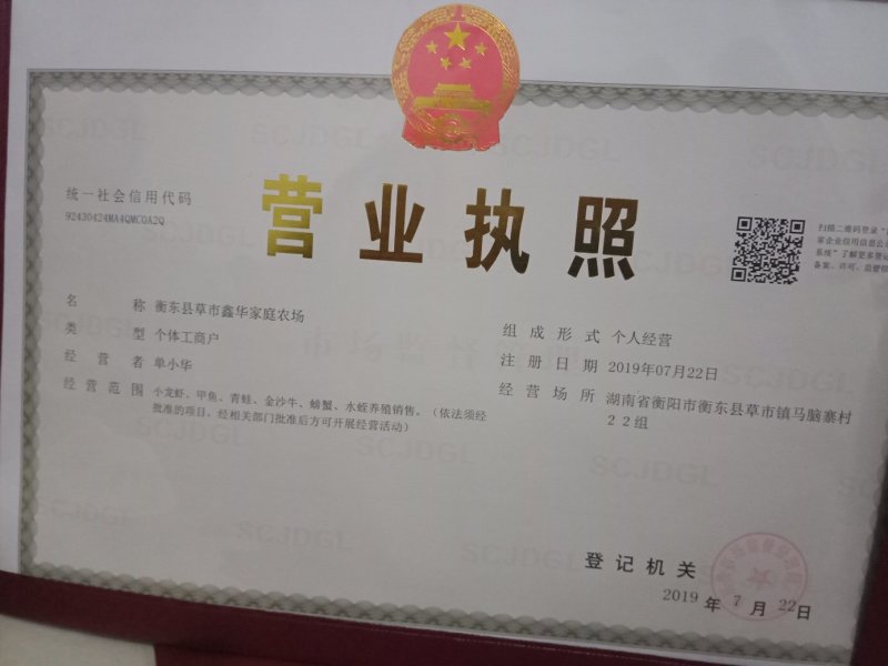 野生金沙牛，假一陪百，