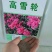 高雪轮种子大蔓樱花耐寒地被花坛盆栽花卉种子园林绿化种子