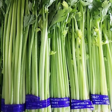 精品香芹，市场，超市直供联系