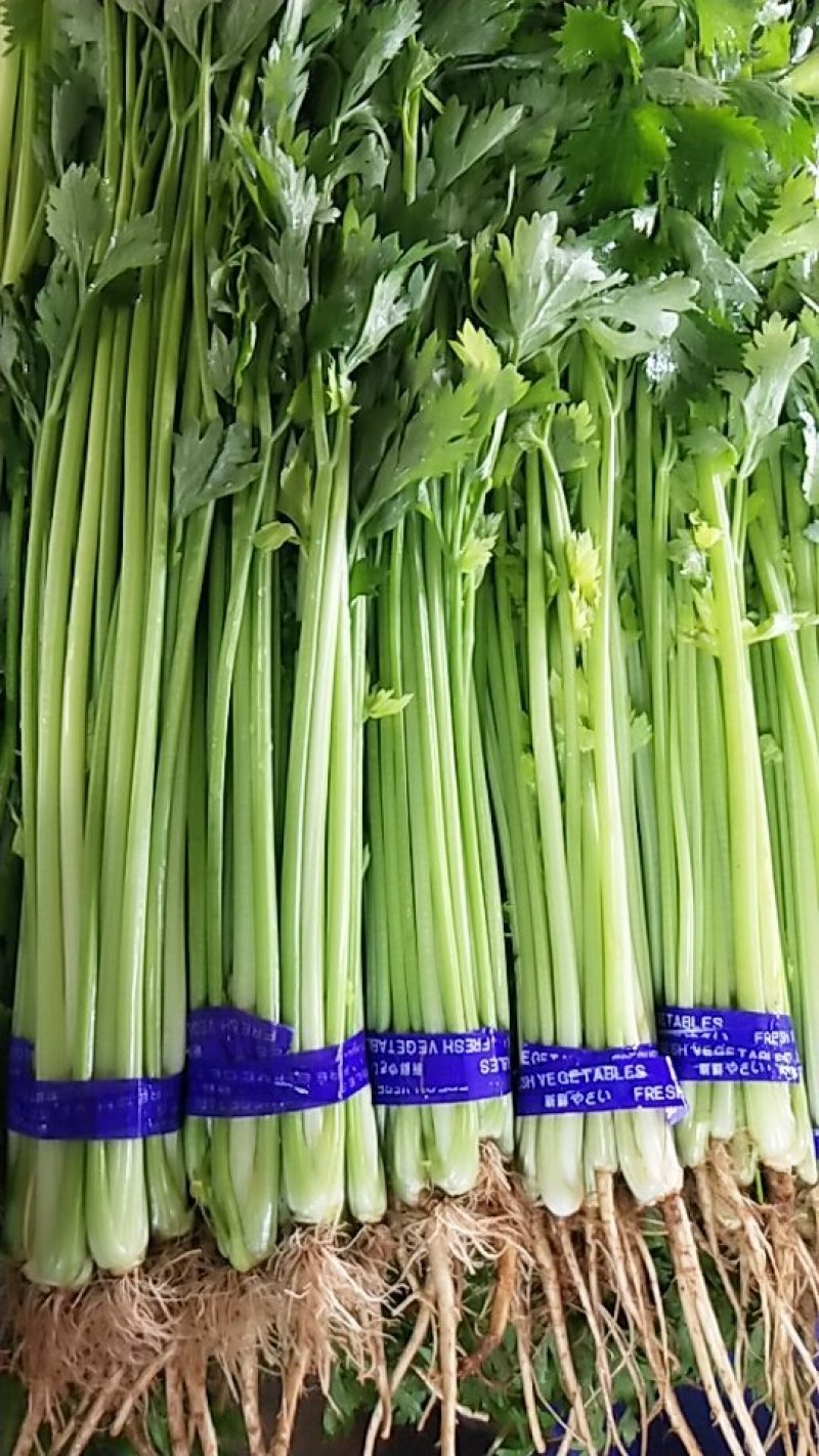精品香芹，市场，超市直供联系