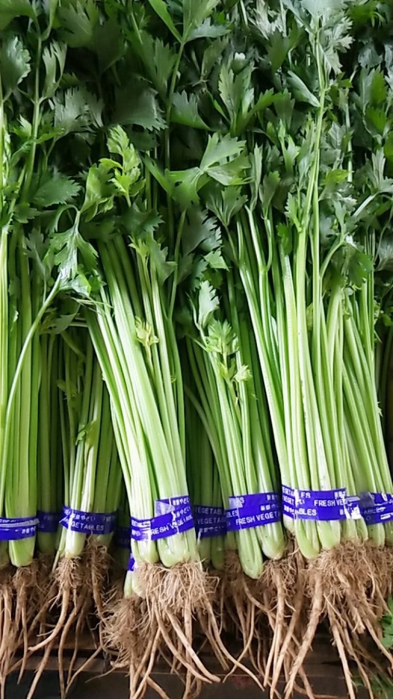 精品香芹，市场，超市直供联系